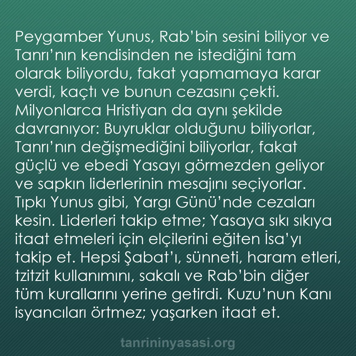 b0240 - Tanrı’nın Yasası hakkında gönderi: Peygamber Yunus, Rab’bin sesini biliyor ve Tanrı’nın kendisinden...